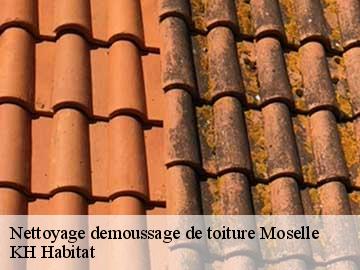 Nettoyage demoussage de toiture 57 Moselle  KH Habitat