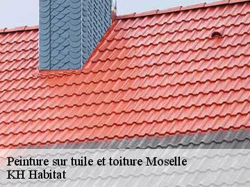 Peinture sur tuile et toiture 57 Moselle  KH Habitat