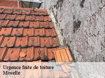 Urgence fuite de toiture Moselle 