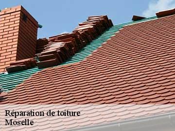 Réparation de toiture Moselle 