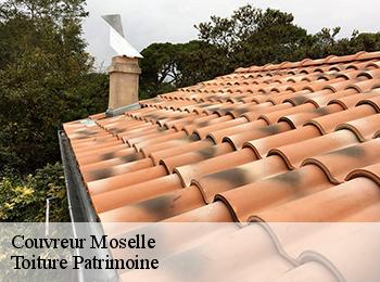 Couvreur Moselle