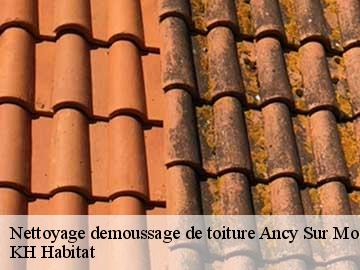 Nettoyage demoussage de toiture  ancy-sur-moselle-57130 KH Habitat