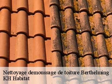 Nettoyage demoussage de toiture  berthelming-57930 KH Habitat