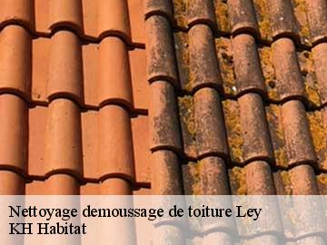 Nettoyage demoussage de toiture  ley-57810 KH Habitat