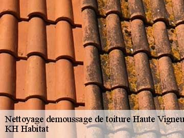 Nettoyage demoussage de toiture  haute-vigneulles-57690 KH Habitat