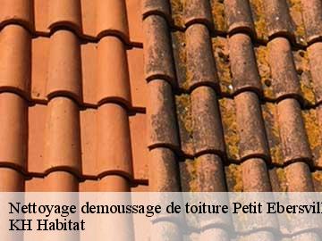 Nettoyage demoussage de toiture  petit-ebersviller-57730 KH Habitat