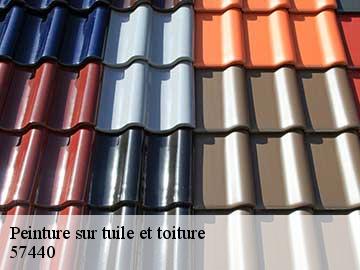 Peinture sur tuile et toiture  57440