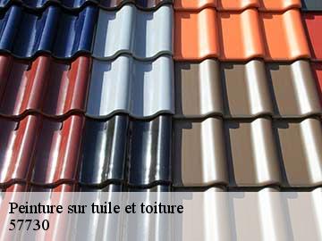 Peinture sur tuile et toiture  57730