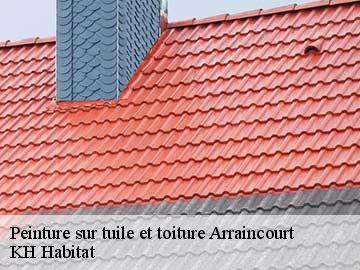 Peinture sur tuile et toiture  arraincourt-57380 KH Habitat