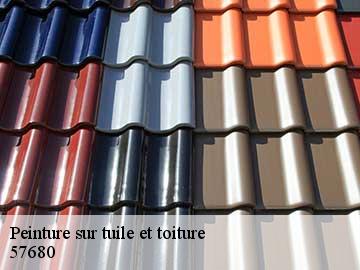 Peinture sur tuile et toiture  57680