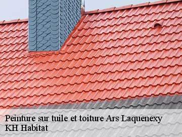 Peinture sur tuile et toiture  ars-laquenexy-57530 KH Habitat