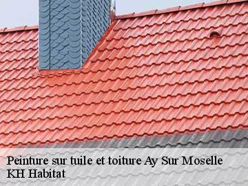 Peinture sur tuile et toiture  ay-sur-moselle-57300 KH Habitat