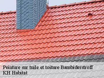 Peinture sur tuile et toiture  bambiderstroff-57690 KH Habitat