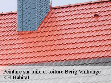 Peinture sur tuile et toiture  berig-vintrange-57660 KH Habitat