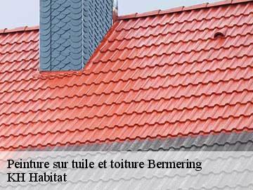 Peinture sur tuile et toiture  bermering-57340 KH Habitat