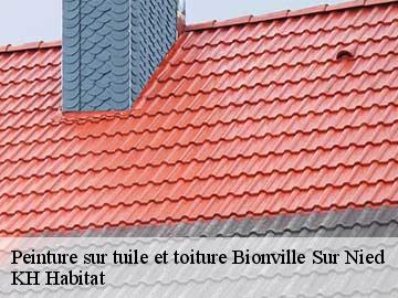 Peinture sur tuile et toiture  bionville-sur-nied-57220 KH Habitat