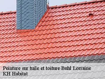 Peinture sur tuile et toiture  buhl-lorraine-57400 KH Habitat