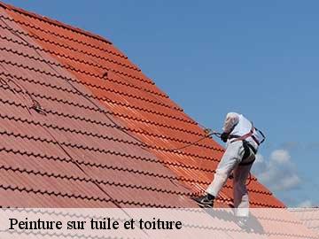 Peinture sur tuile et toiture