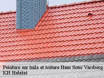 Peinture sur tuile et toiture  ham-sous-varsberg-57880 KH Habitat