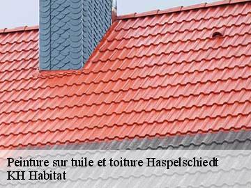 Peinture sur tuile et toiture  haspelschiedt-57230 KH Habitat