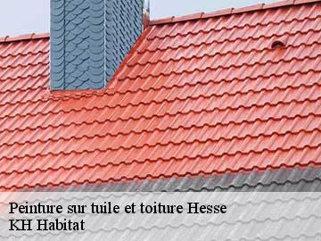 Peinture sur tuile et toiture  hesse-57400 KH Habitat