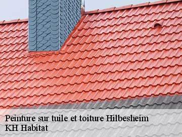 Peinture sur tuile et toiture  hilbesheim-57400 KH Habitat