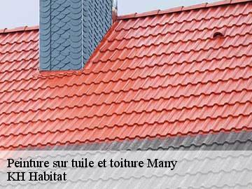 Peinture sur tuile et toiture  many-57380 KH Habitat