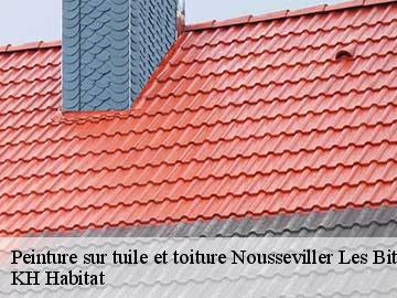 Peinture sur tuile et toiture  nousseviller-les-bitche-57720 KH Habitat