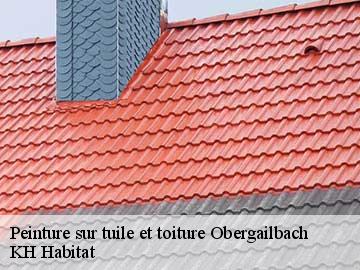 Peinture sur tuile et toiture  obergailbach-57720 KH Habitat