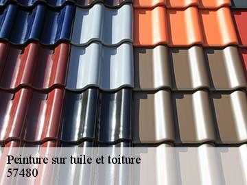 Peinture sur tuile et toiture  57480