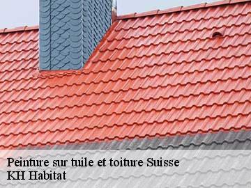 Peinture sur tuile et toiture  suisse-57340 KH Habitat