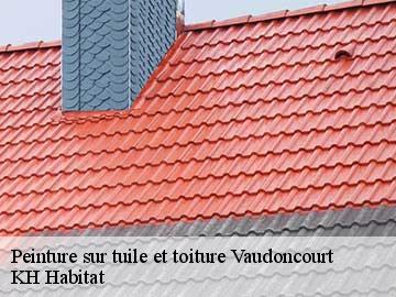 Peinture sur tuile et toiture  vaudoncourt-57220 KH Habitat