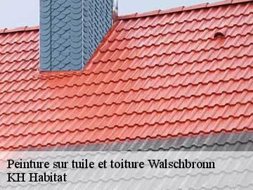 Peinture sur tuile et toiture  walschbronn-57720 KH Habitat
