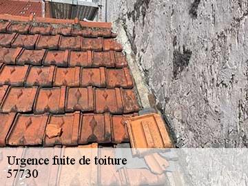 Urgence fuite de toiture  57730