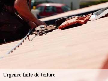 Urgence fuite de toiture