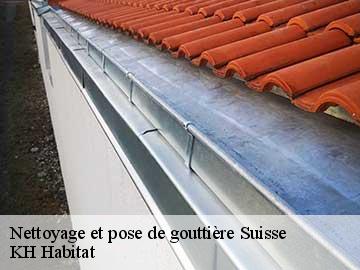 Nettoyage et pose de gouttière  suisse-57340 KH Habitat